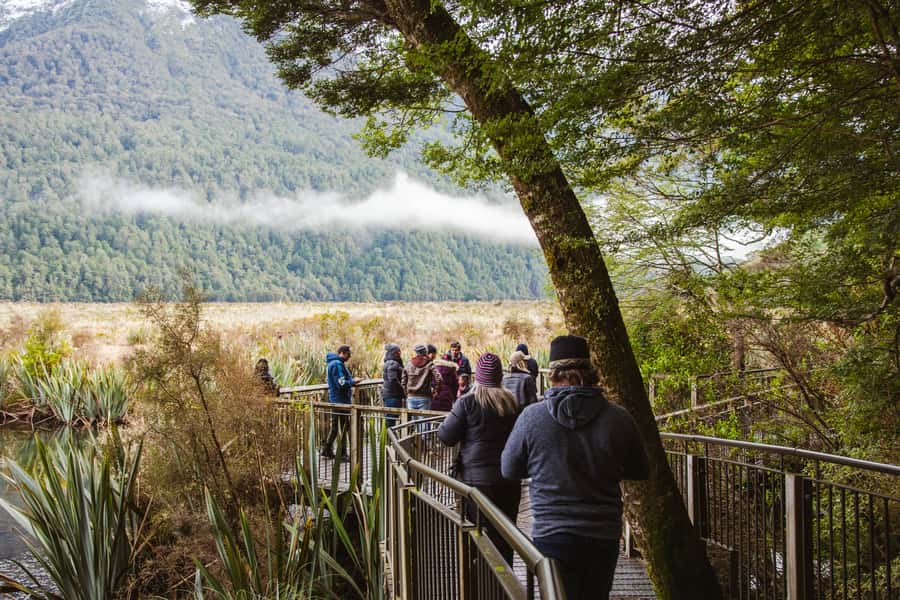 Milford Sound: Premium Small Group Tour from Queenstown - The two-hour Milford Sound cruise is the main event