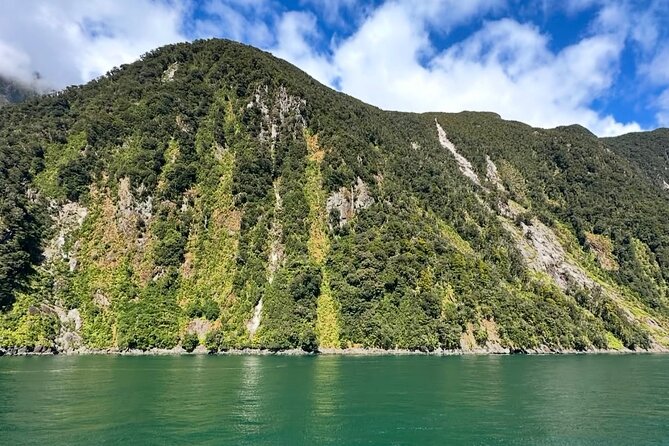 Milford Sound Private Day Trip from Queenstown via Te Anau - The return through Te Anau is a real test