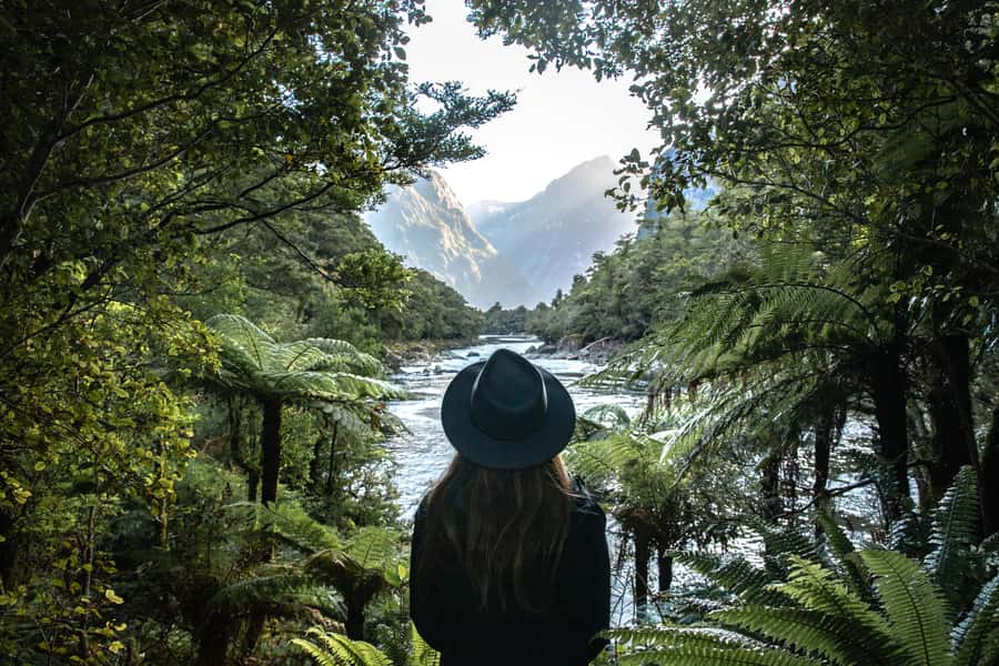 Milford Sound: Self-Guided Milford Track Day Walk - The short boat ride to Sandfly Point