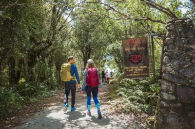 Milford Sound: Self-Guided Milford Track Day Walk