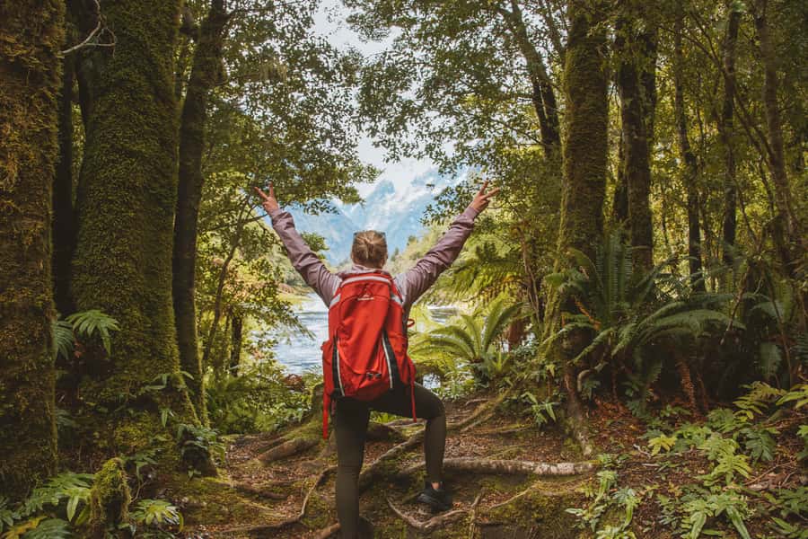 Milford Sound: Self-Guided Milford Track Day Walk - Is $44 a fair price?