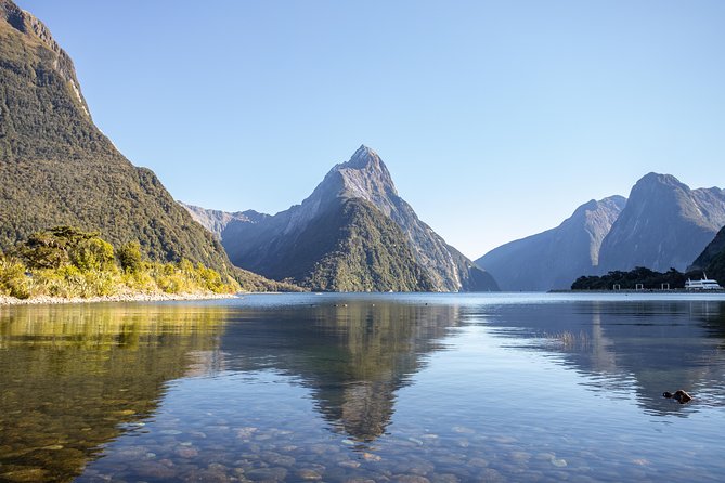 Milford Sound Small Group Tour from Queenstown with Scenic Flight - Fiordland National Park turns the road into an attraction