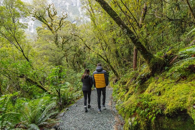 Milford Sound Small Group Tour from Queenstown with Scenic Flight - Mirror Lakes offers a short walk with a big payoff