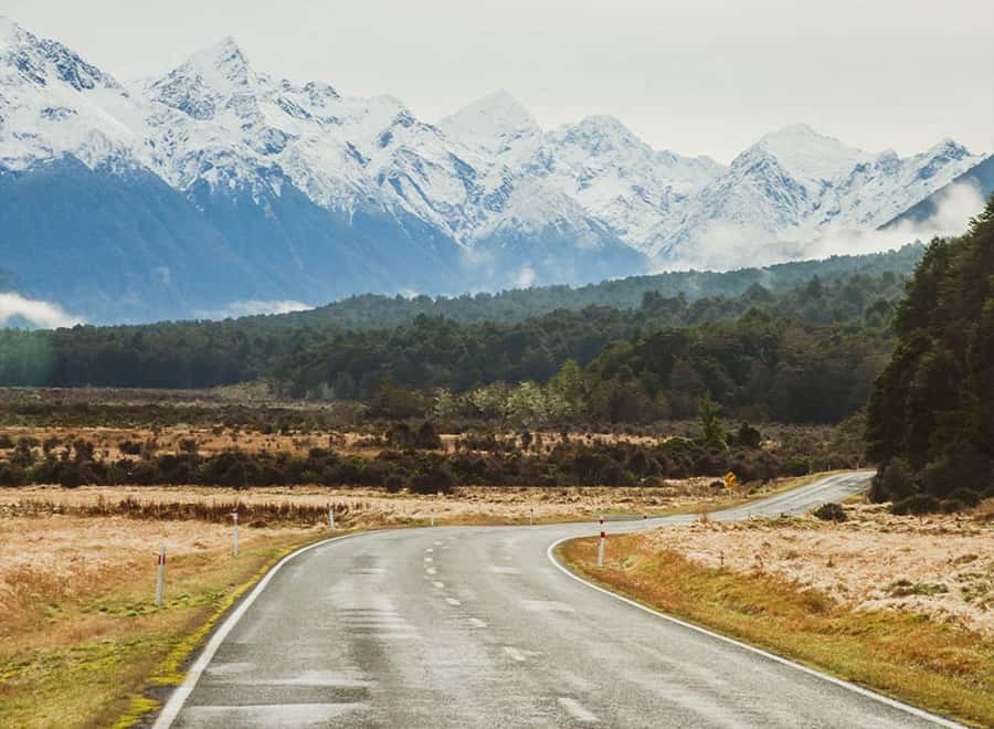 Milford Sound: Small-Group Tour from Te Anau - What you might see on the water