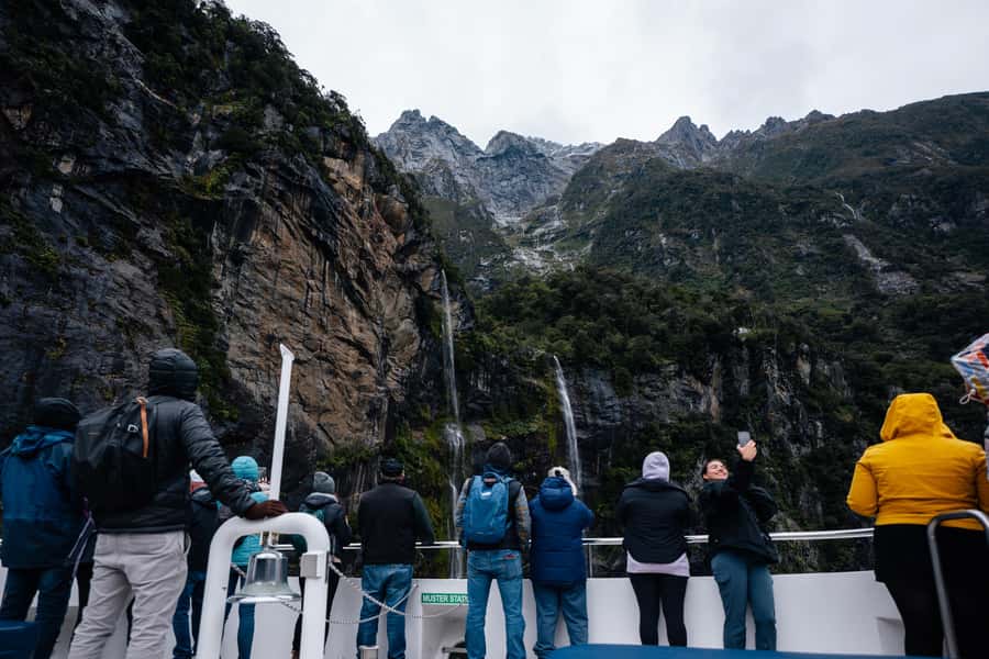 Milford Sound: Waterfalls, Wildlife, and Rainforest Cruise - Who will enjoy this Milford Sound cruise?