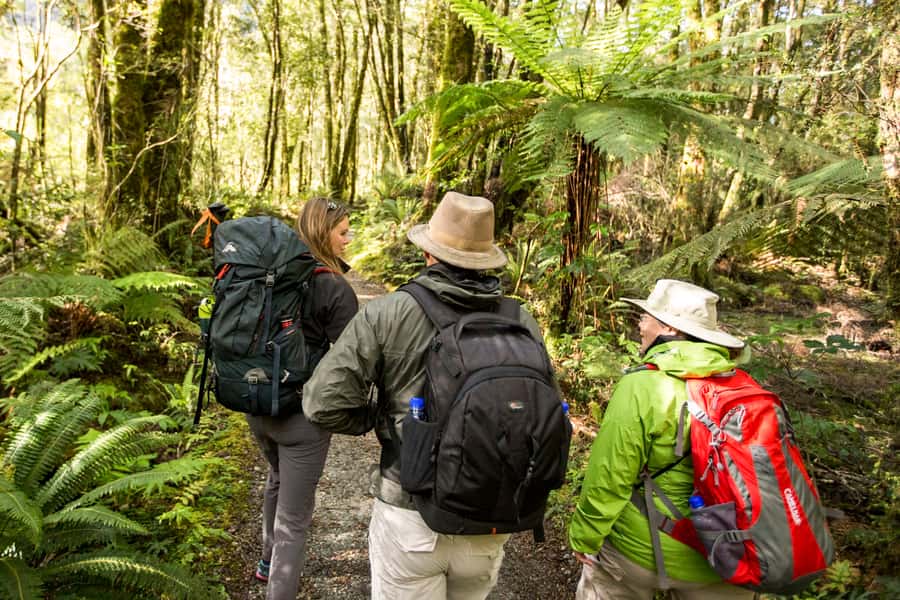 Milford Track: Full Day Guided Hike and Nature Cruise - Fitness, age, and comfort