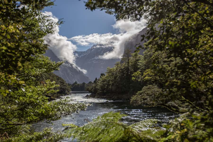 Milford Track: Full Day Guided Hike and Nature Cruise - Starting early at Milford Sound