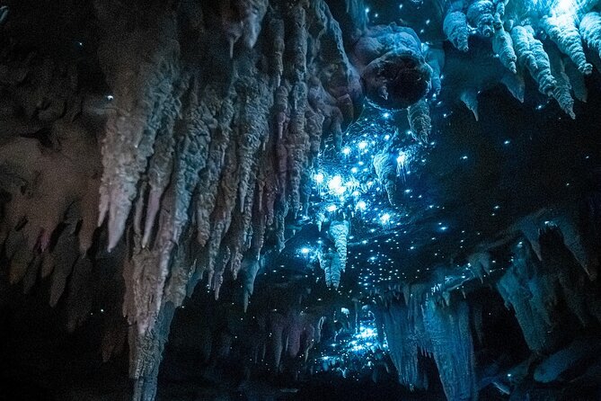 Milky Way Glowworm Cave Tour - Key points to know before booking