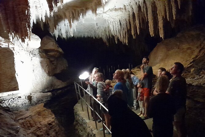 Milky Way Glowworm Cave Tour - The glowworm viewing, with lights and water