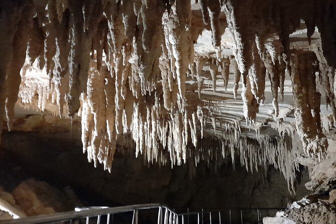 Milky Way Glowworm Cave Tour - What the guide adds to the hour