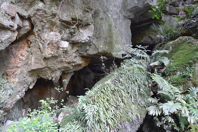 Milky Way Glowworm Cave Tour - A good stop for families and mixed-age groups