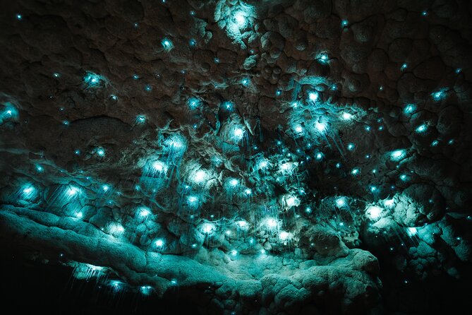 Milky Way Glowworm Cave Tour - Going underground: 30 steps and a concrete path