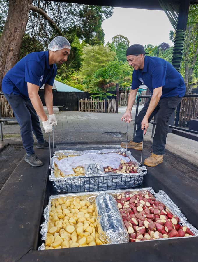 Mitai Maori Village: Cultural Experience and Dinner Buffet - Who Will Enjoy Mitai Most?