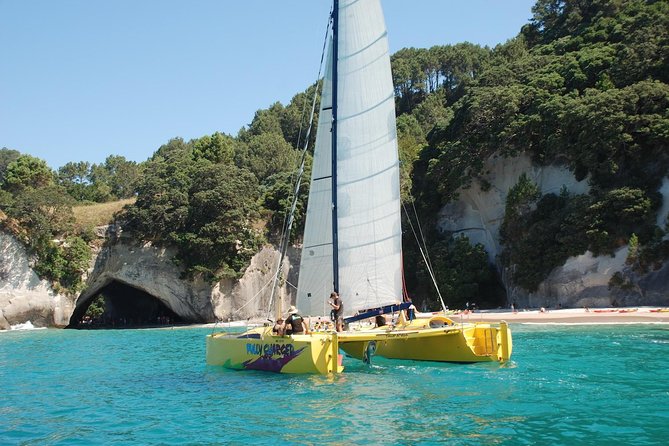 Morning Glory Chilled out Sail (3.5hrs) - Key points to know before sailing