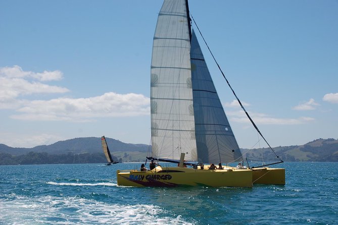 Morning Glory Chilled out Sail (3.5hrs) - Comfort on deck, with a few practical limits