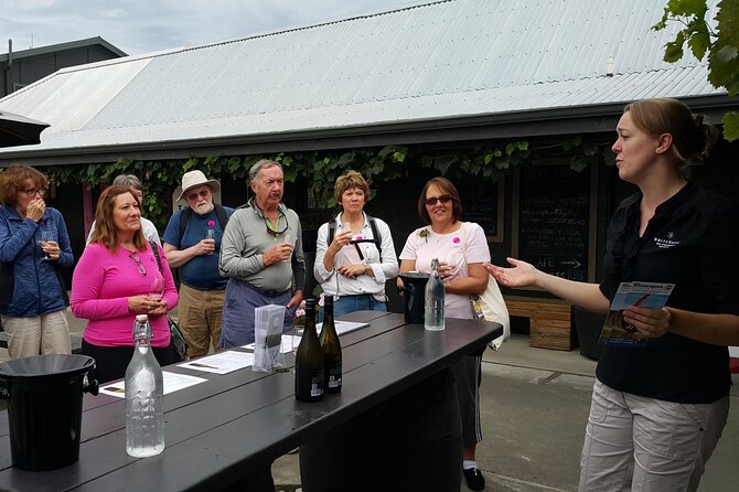 Morning Guided with Afternoon Self-Guided Biking Wine Tour - Three morning winery visits