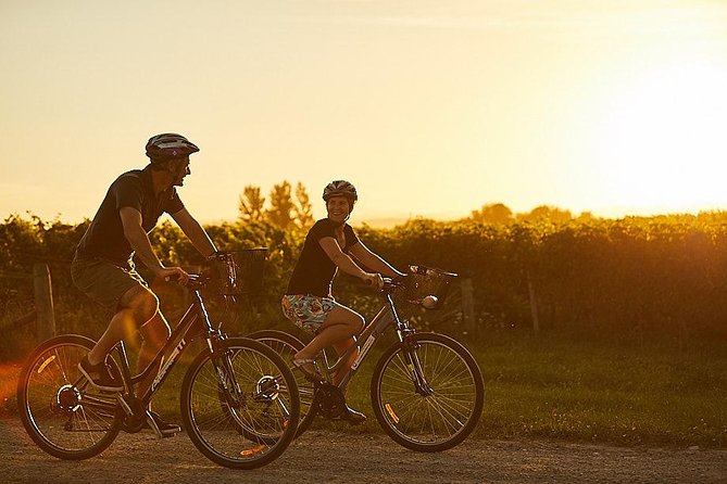 Morning Guided with Afternoon Self-Guided Biking Wine Tour - The Vines Village as your practical base