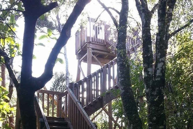 Motuara Island Bird Sanctuary and Ship Cove Cruise from Picton - What this Picton cruise actually offers