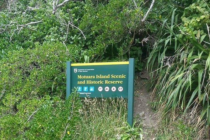 Motuara Island Bird Sanctuary and Ship Cove Cruise from Picton - Motuara Island and its native birds