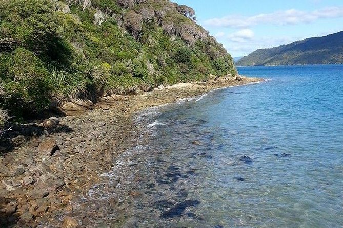 Motuara Island Bird Sanctuary and Ship Cove Cruise from Picton - Meretoto, or Ship Cove