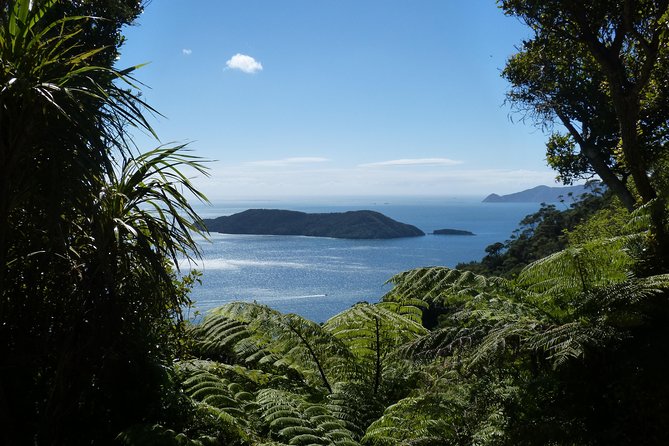 Motuara Island Bird Sanctuary and Ship Cove Cruise from Picton - Cruising through Queen Charlotte Sound