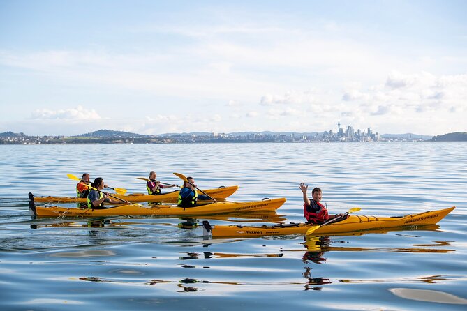 Motukorea / Browns Island Sea Kayak Journey - Why Motukorea makes such a good Auckland day trip