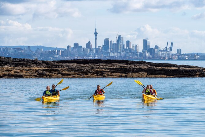 Motukorea / Browns Island Sea Kayak Journey - What the $121.01 price really covers