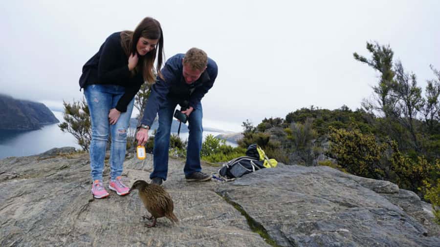 Mou Waho Island: 3-Hour Cruise and Guided Nature Walk - The 30-minute cruise across Lake Wanaka