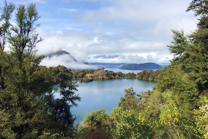 Mou Waho Island Cruise and Guided Nature Walk - The uphill track: scenic, short, and not flat
