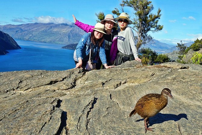 Mou Waho Island Cruise and Guided Nature Walk - The 30-minute cruise from Roys Bay