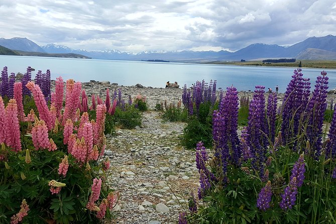 Mount Cook, Lake Tekapo and Tasman Glacier Tour from Christchurch - The guides make a real difference