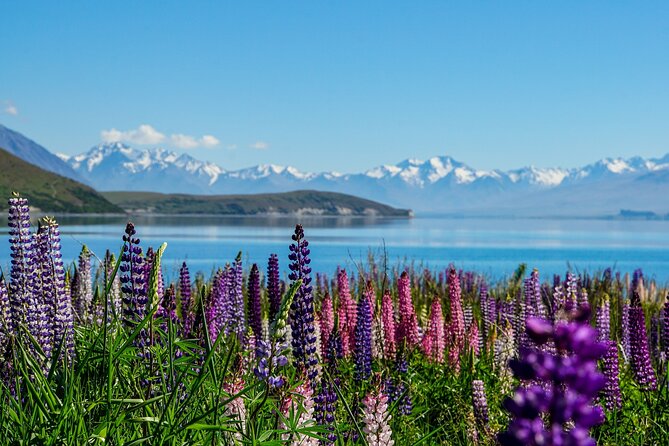 Mount Cook Scenic 35 Minute Helicopter Flight - What the small group means for your view