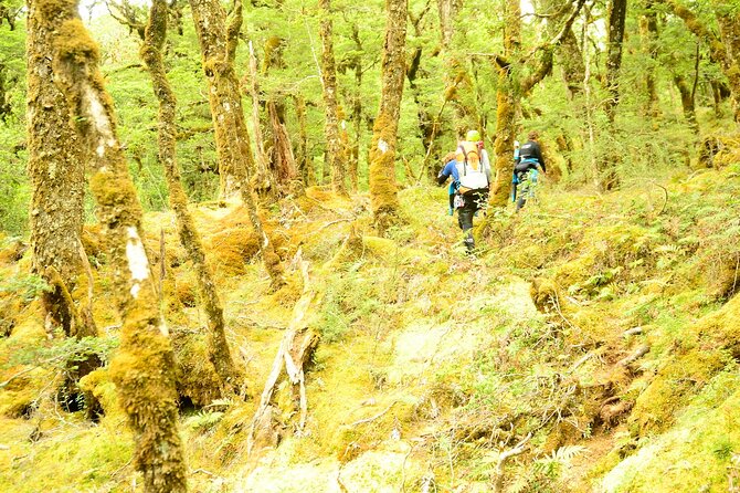 Mt Aspiring Full Day Canyon ex Queenstown or Wanaka - The morning starts in Queenstown or Wanaka