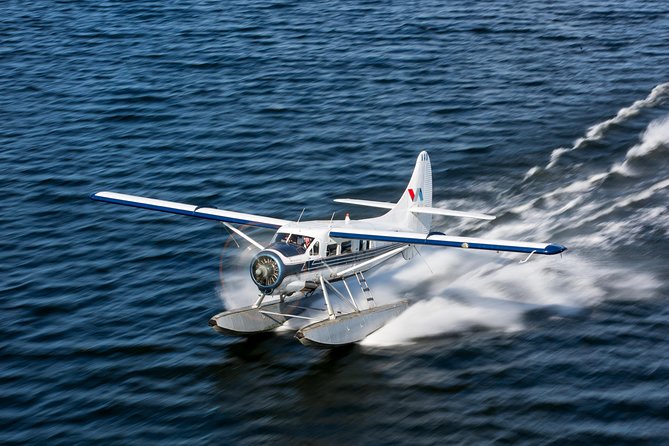 Mt. Tarawera Volcano Scenic Floatplane Tour from Rotorua - Key points to know before you fly