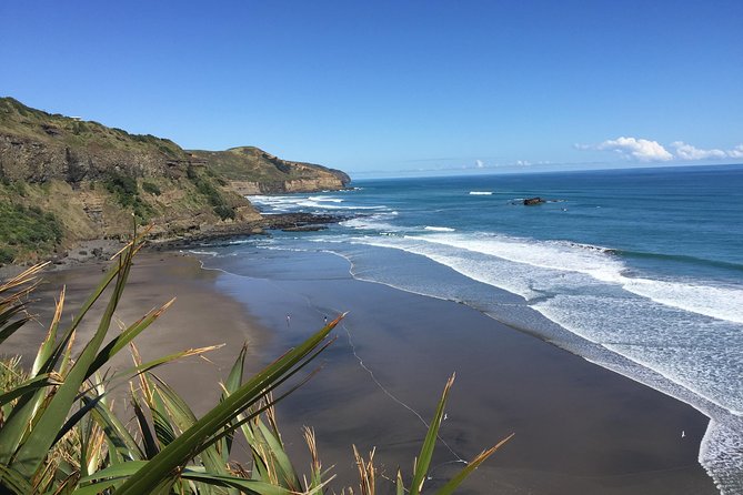 Muriwai Scenic Wine Tour from Auckland - Soljans Estate and the story of family wine