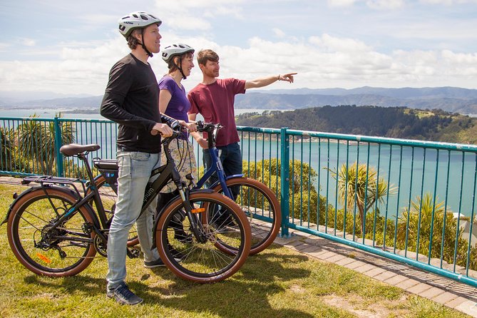 Museum of New Zealand Te Papa Tongarewa: Introducing Te Papa Tour - What the two-day entry really adds