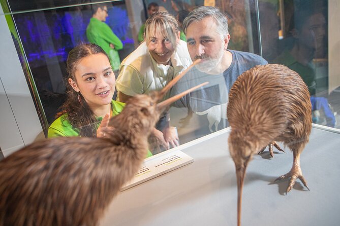 Museum of NZ Te Papa Tongarewa: International Visitor Entry - Why Te Papa deserves time in Wellington