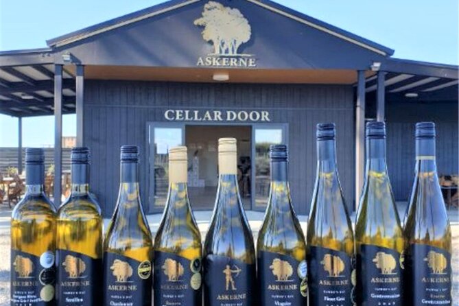 Napier: Afternoon Wine Tasting + visit Silky Oaks Chocolates - Trinity Hill and the value of a guided tasting