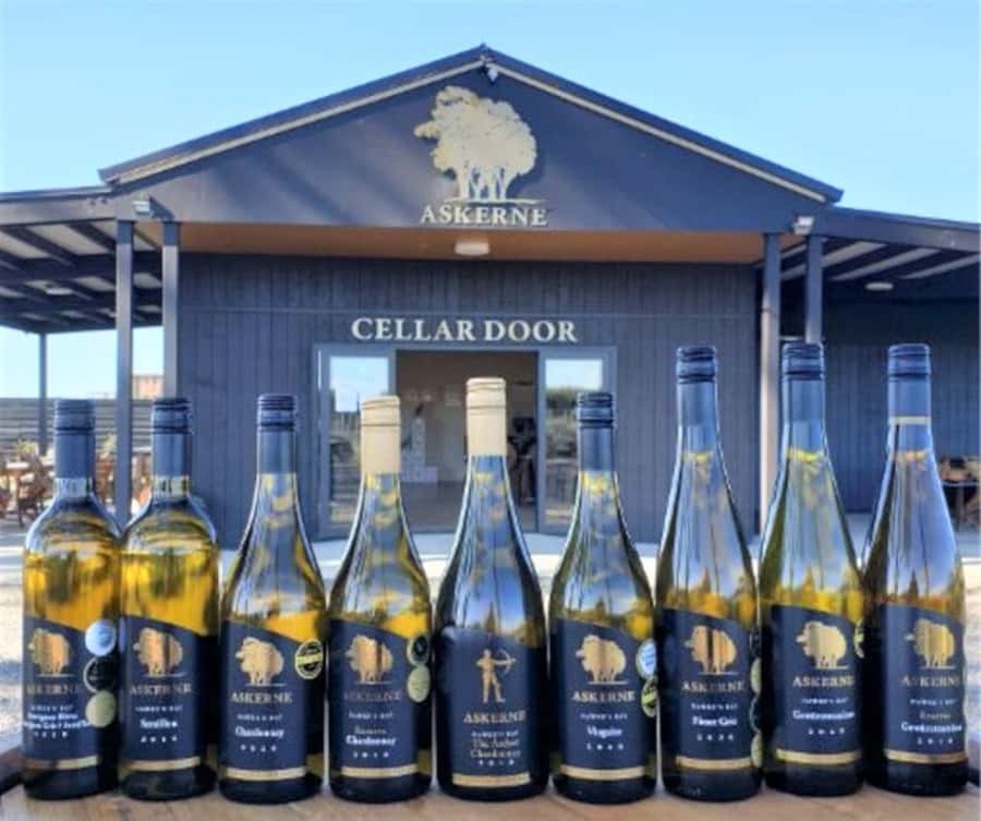 Napier: Afternoon Winery Tour Tasting at 3 Great Wineries - What the tasting pace feels like