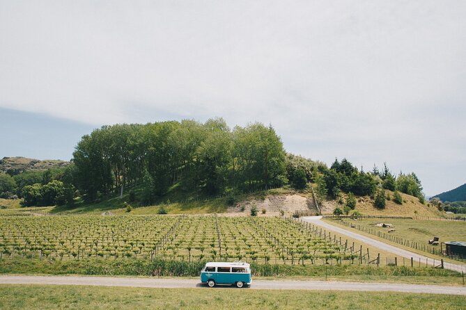 Napier and Hawkes Bay Scenic and Art Deco Tour by VW Kombi - Seasonal fruit in Havelock North country