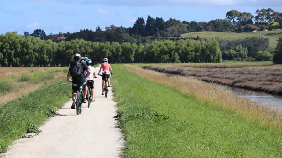 Napier: Art Deco Bike Ride and Wineries Loop - What the $68 price really buys you