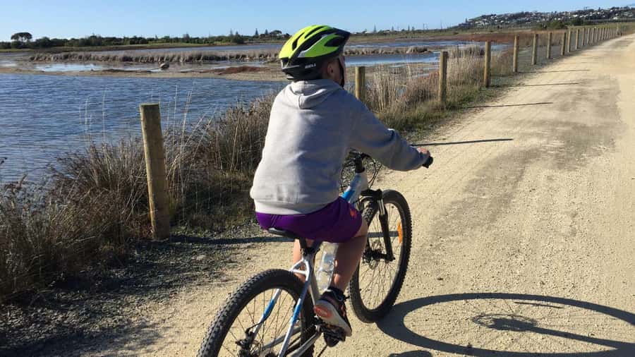 Napier: Art Deco Bike Ride and Wineries Loop - Starting in Ahuriri between 9 and 11