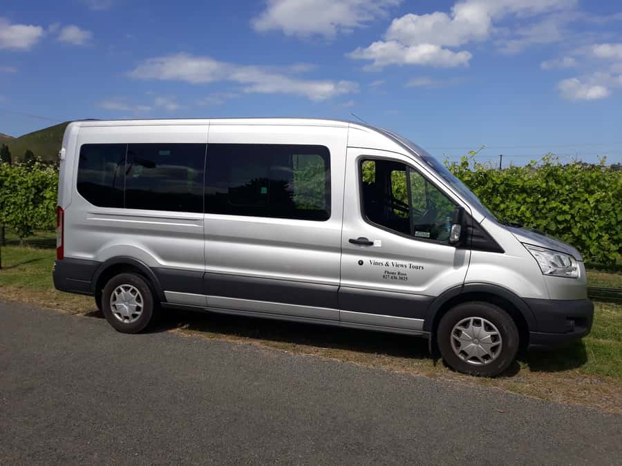 Napier: Art-Deco + Te Mata Peak+ Garden Walk + Wine Tasting - Is $89 good value?