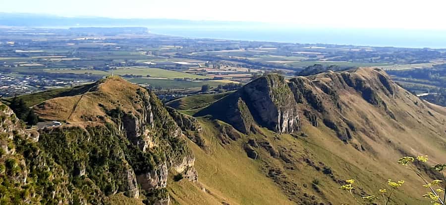 Napier: Art-Deco + Te Mata Peak+ Garden Walk + Wine Tasting - Why this Napier tour works well in a cruise port