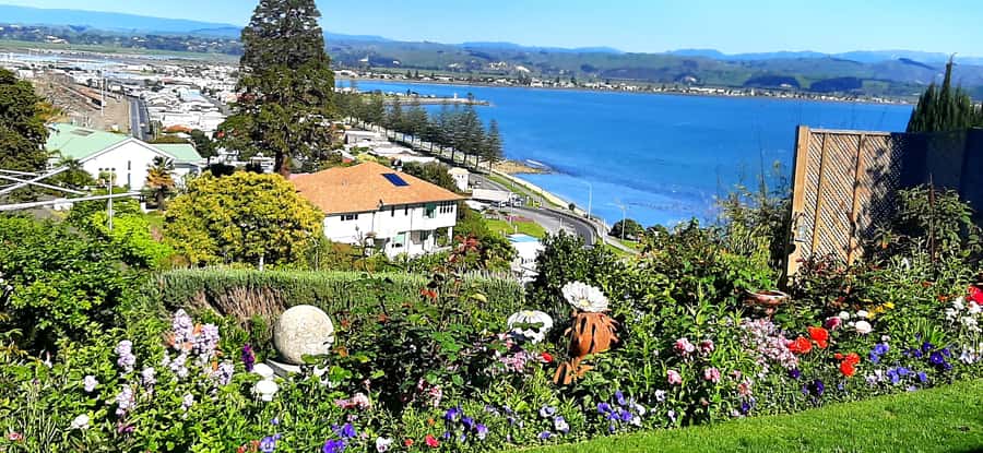 Napier: Art-Deco + Te Mata Peak+ Garden Walk + Wine Tasting - Bluff Hill gives you the best port view