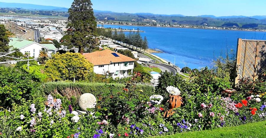 Napier: Art-Deco + Te Mata Peak+ Garden Walk + Wine Tasting - Napier’s Art Deco story in a short city tour