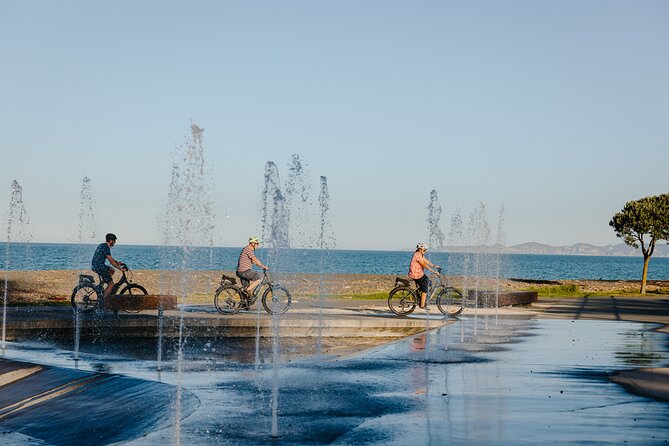 Napier Bike Hire - Wineries, wetlands, and a chocolate stop