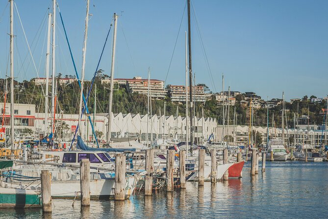 Napier Bike Hire - What comes with the $34.13 hire