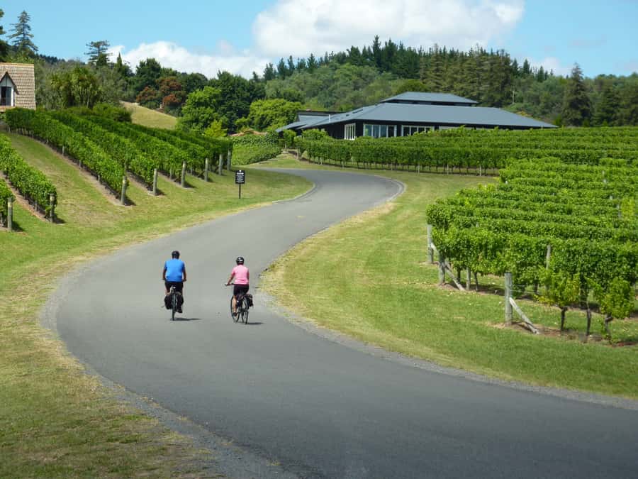 Napier: Cape Coast Winery Tour on E-Bikes - Following the Tuki Tuki River trail