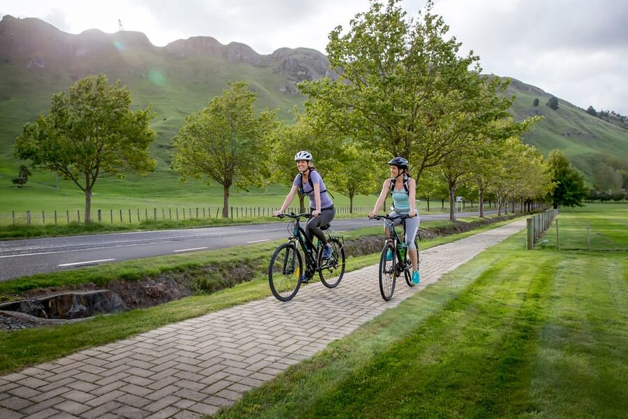 Napier: Cape Coast Winery Tour on E-Bikes - Weather, fitness, and practical comfort